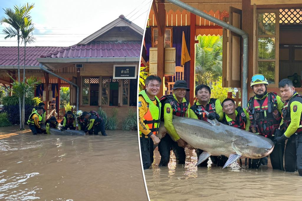 Rescuers save 220-pound catfish from flooded train station