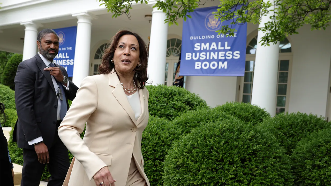 Legal experts say Harris proposals for Black men are ‘unconstitutional’