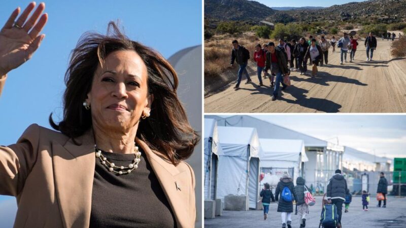 Kamala Harris touts 2021 immigration bill as border fix