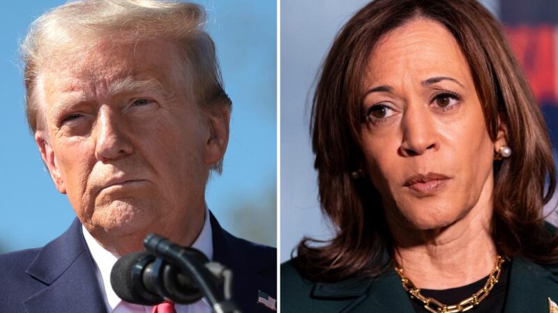 Harris and Trump remain neck-and-neck in NYC suburbs, Siena poll shows