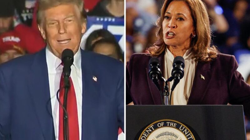 Trump tells Kamala Harris she’s ‘fired’ at Michigan rally