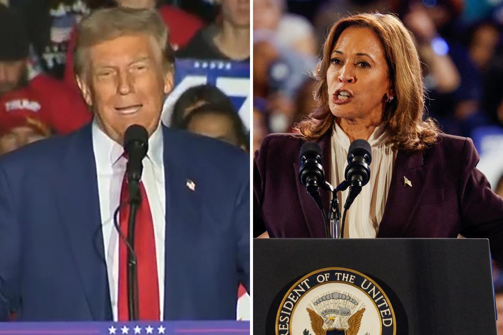 Trump tells Kamala Harris she’s ‘fired’ at Michigan rally