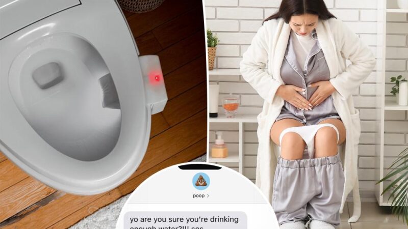 AI toilet camera snaps pictures of poop — here’s why