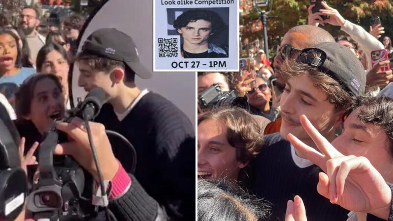 Timothée Chalamet NYC lookalike contest broken up by cops as event with $50 prize devolves into chaos