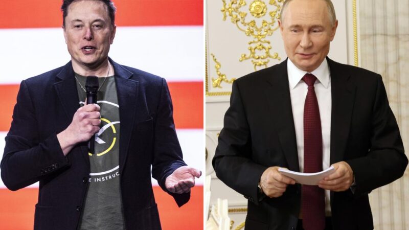 Elon Musk and Putin have regularly talked since late 2022: report