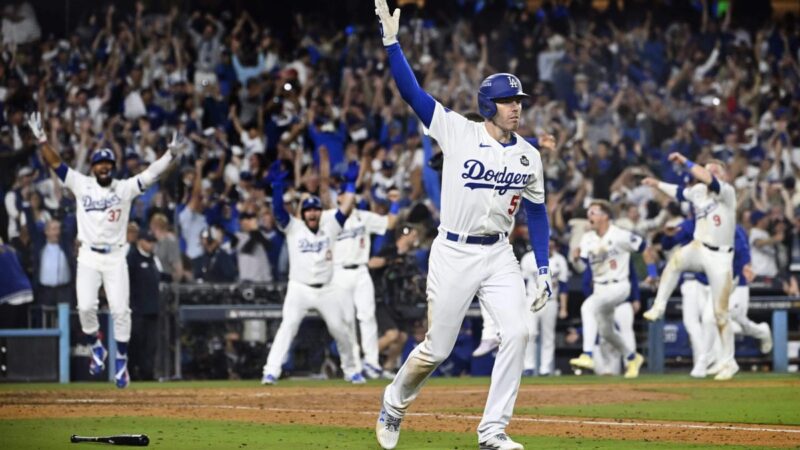 Freddie Freeman wallops his way into World Series history with walk-off slam that’ll float forever