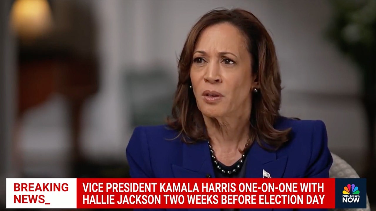 Harris claims she was ‘honest with the American people’ about Biden’s mental acuity: ‘Capable in every way’