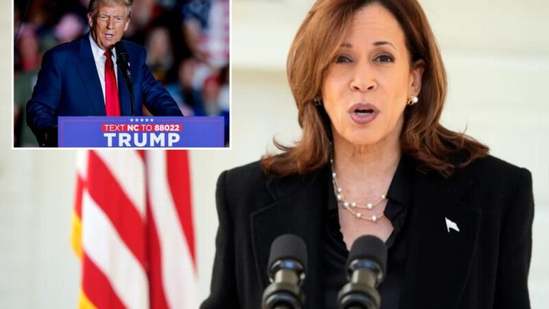 Kamala Harris reacts to former Trump staffer claiming ex-prez praised Hitler