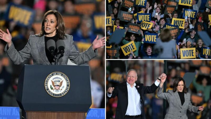 Kamala Harris silences raucous Michigan rally-goers with bizarre joke: ‘Shout your own name’