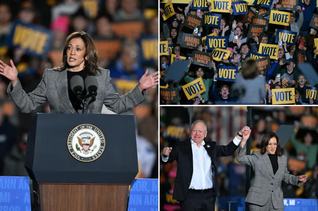 Kamala Harris silences raucous Michigan rally-goers with bizarre joke: ‘Shout your own name’