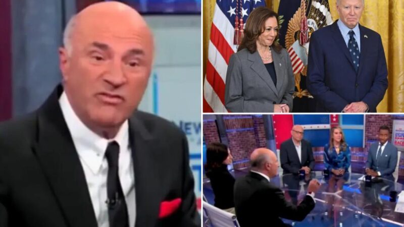 Kevin O’Leary clashes with CNN panel, Democrats ‘circumvented democracy’ choosing Harris