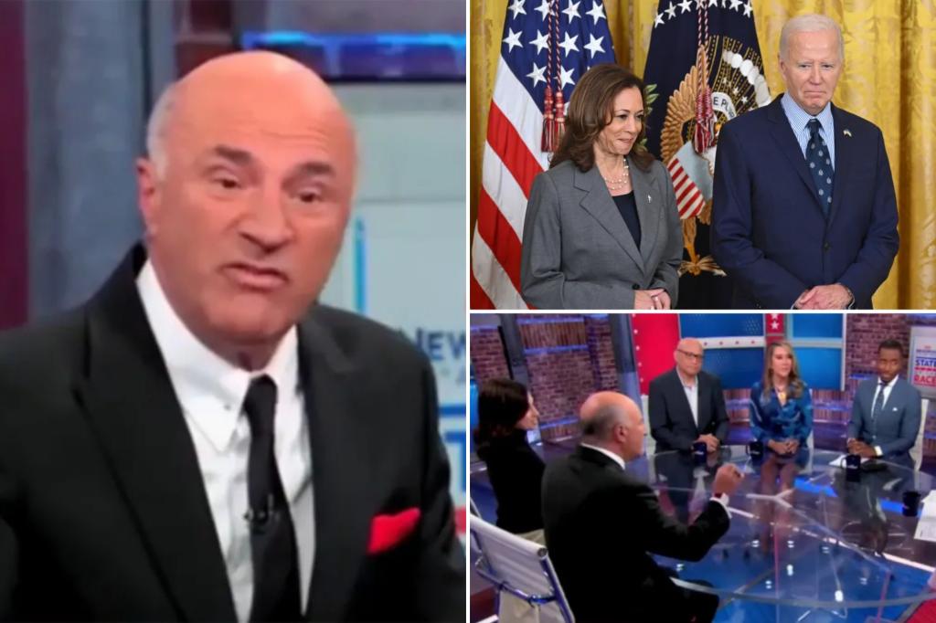 Kevin O’Leary clashes with CNN panel, Democrats ‘circumvented democracy’ choosing Harris