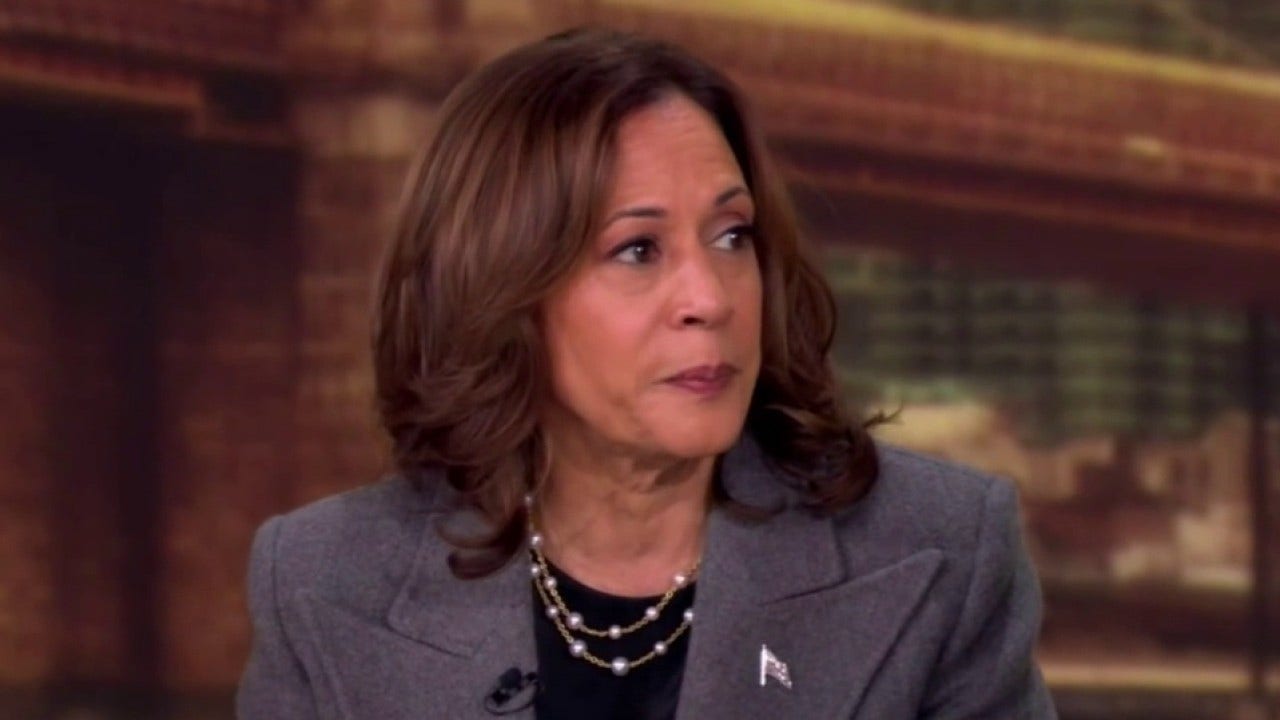 Liberal pundit tells CNN ‘White folks’ should face ‘accountability’ for not ‘saving democracy’ if Harris loses