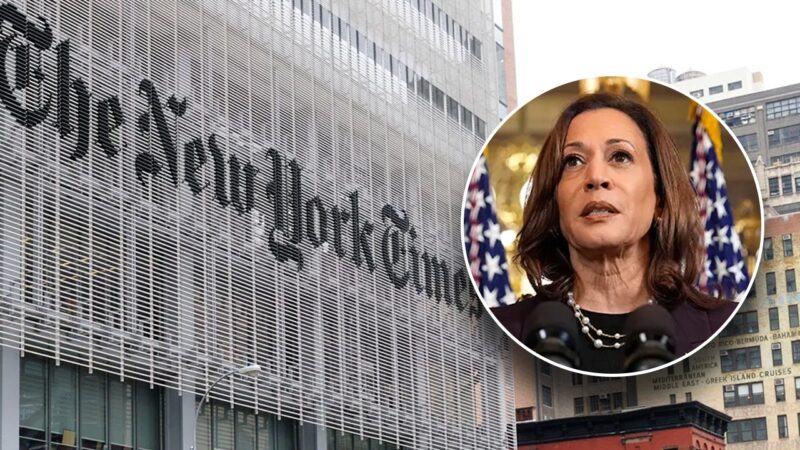 NY Times avoids mentioning its source corroborating Harris’ McDonalds claim is a campaign surrogate