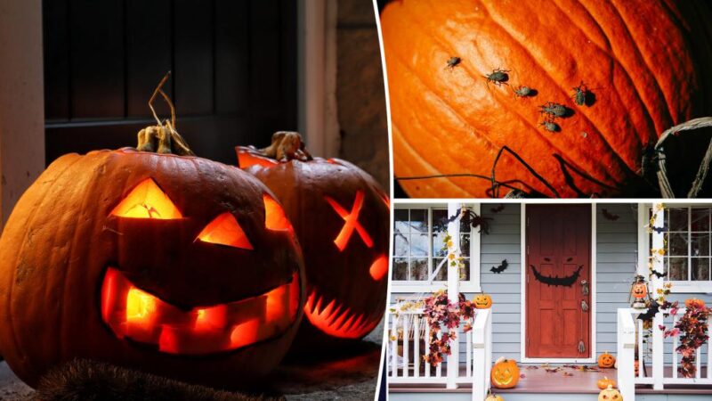 This fall ritual could leave you and your home in danger: expert