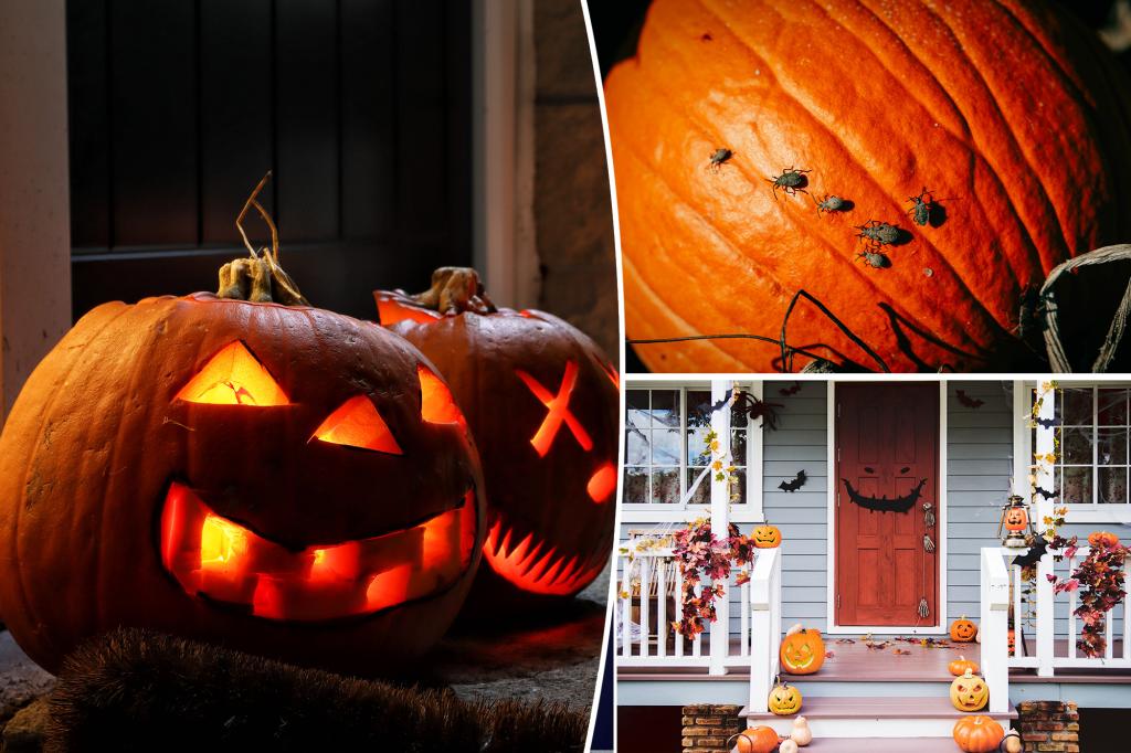 This fall ritual could leave you and your home in danger: expert