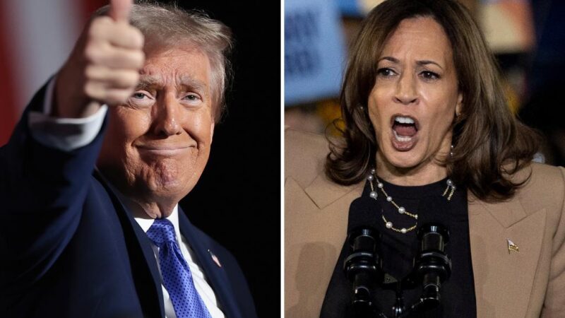 Trump, Harris deadlocked in 2 new polls as election nears