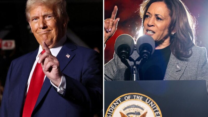 Trump tells supporters to ‘be nice’ after ‘lock her up’ chant aimed at Kamala Harris 