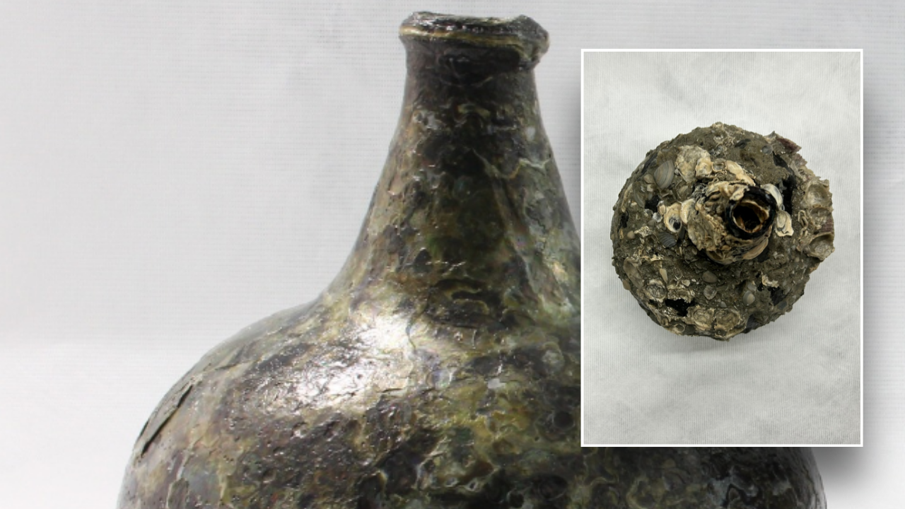 Divers recover ‘unique’ alcohol bottles from the 1700s near Florida