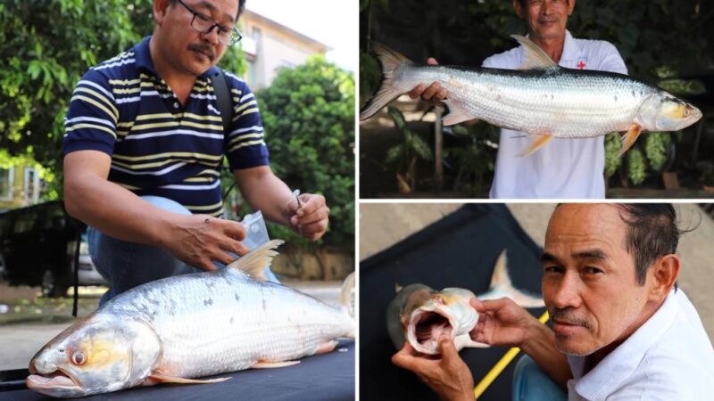 ‘Ghost’ fish feared to be extinct spotted after 20 years