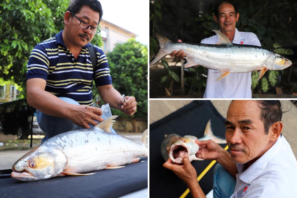 ‘Ghost’ fish feared to be extinct spotted after 20 years