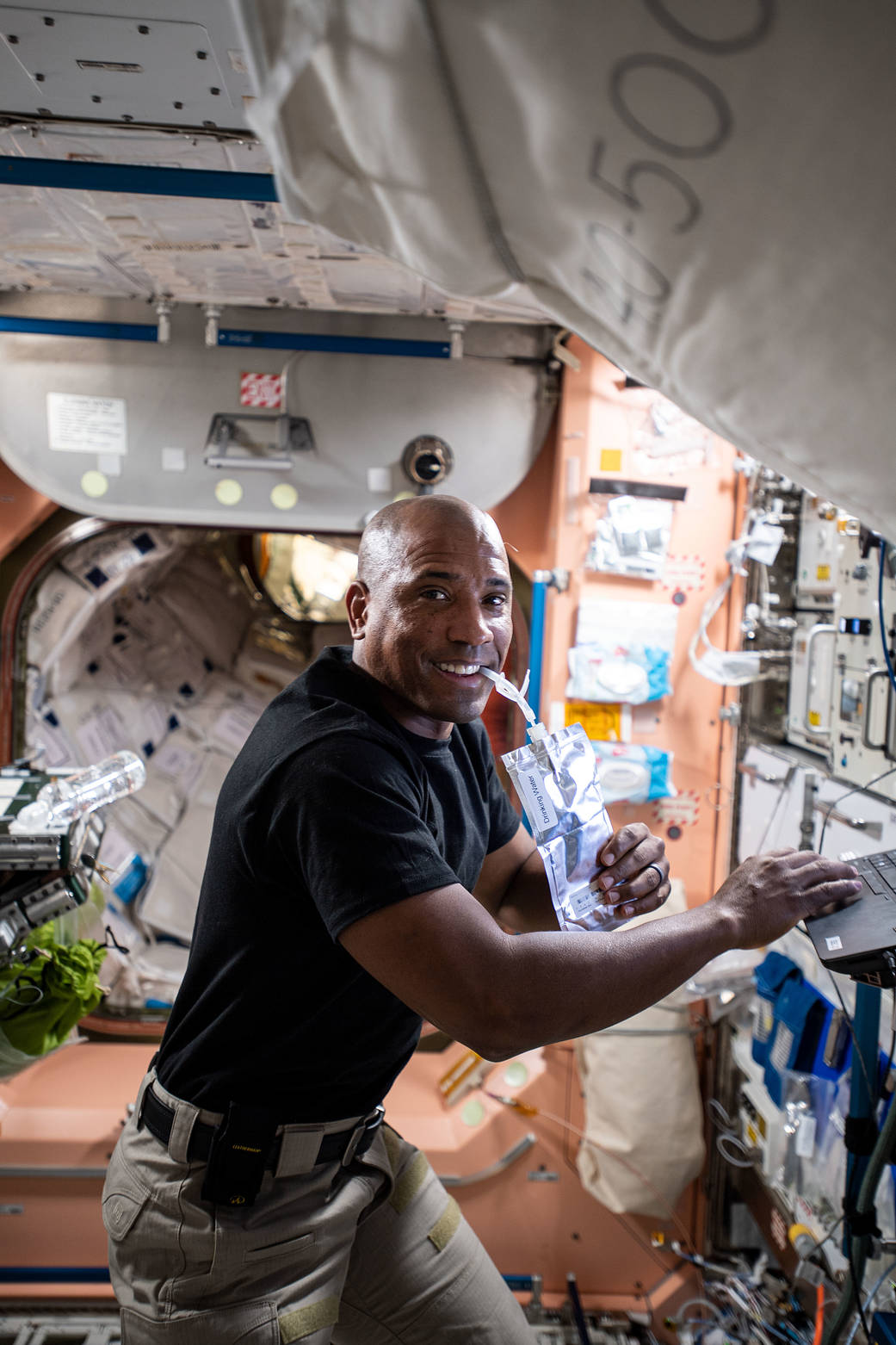 Human Adaptation to Spaceflight: The Role of Food and Nutrition