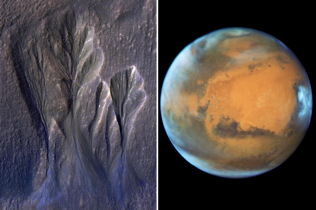 Microbial life may exist in Martian frozen water pools, study finds