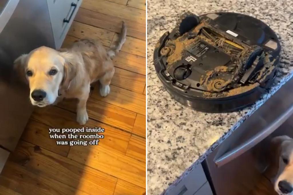 Dog owner discovers Roomba literally can’t see s—t: video