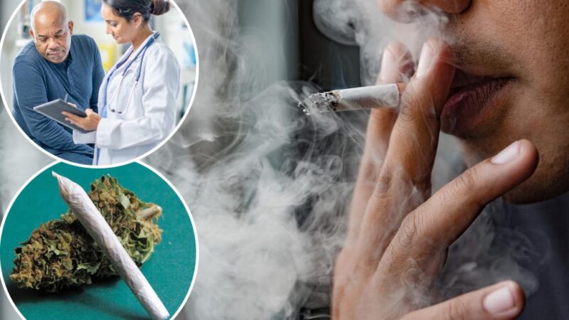 Marijuana is ‘genotoxic,’ can increase cancer risk: new paper