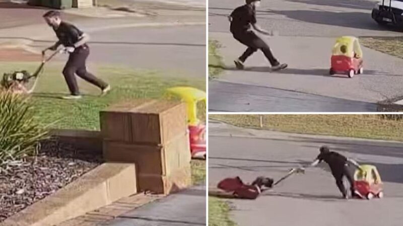 Aussie dad juggles his runaway lawnmower and 18-month-old in viral clip