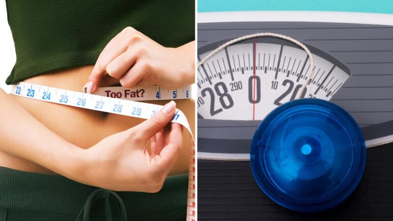 New study explains why yo-yo dieting is so common