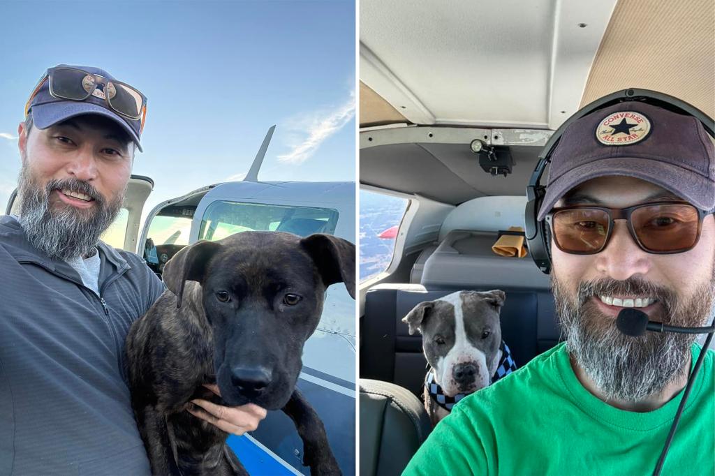 Pilot who flew dogs to be adopted dies in upstate plane crash