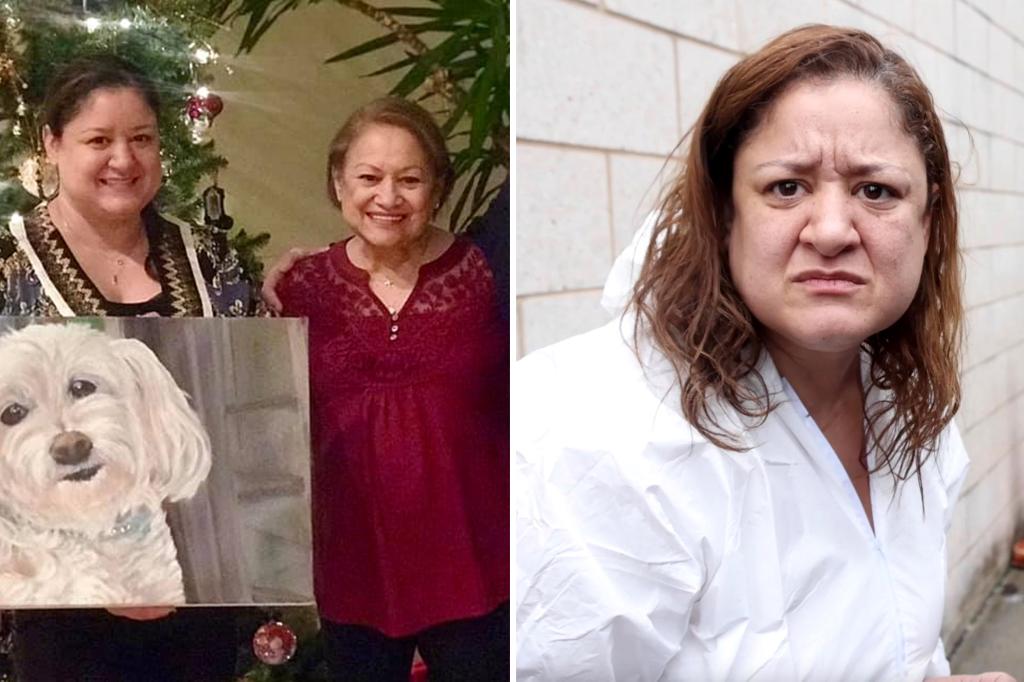 Daughter eerily claims ‘I never had a mother’ after allegedly stabbing 84-year-old mom to death in NY Thanksgiving Eve attack