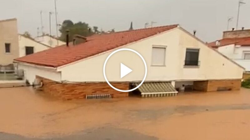 A Survivor in Spain Filmed How the Water Flooded Her Town in Hours