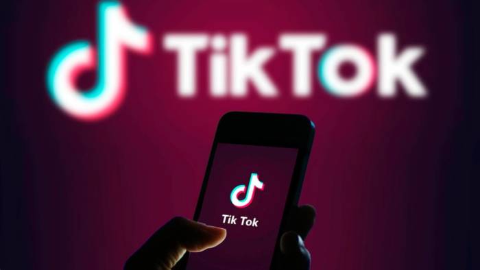 Agência estadual brasileira investiga TikTok por possível acesso a dados de menores – BRAZILIAN PRESS // O maior jornal brasileiro fora do Brasil