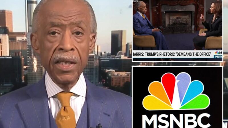 Al Sharpton’s acceptance of Kamala Harris campaign’s $500K donation a ‘bridge too far’ for MSNBC colleagues