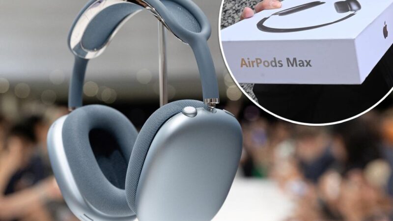 Apple fans beg company to recall trendy new accessory over faults