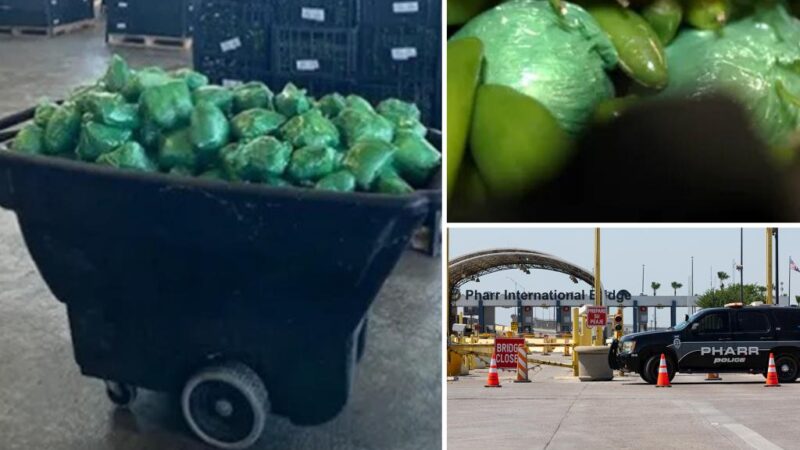 Border patrol seize more than $31M of meth hidden in shipment of peppers at Texas-Mexico border