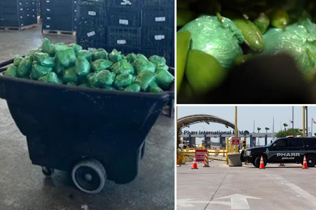 Border patrol seize more than $31M of meth hidden in shipment of peppers at Texas-Mexico border