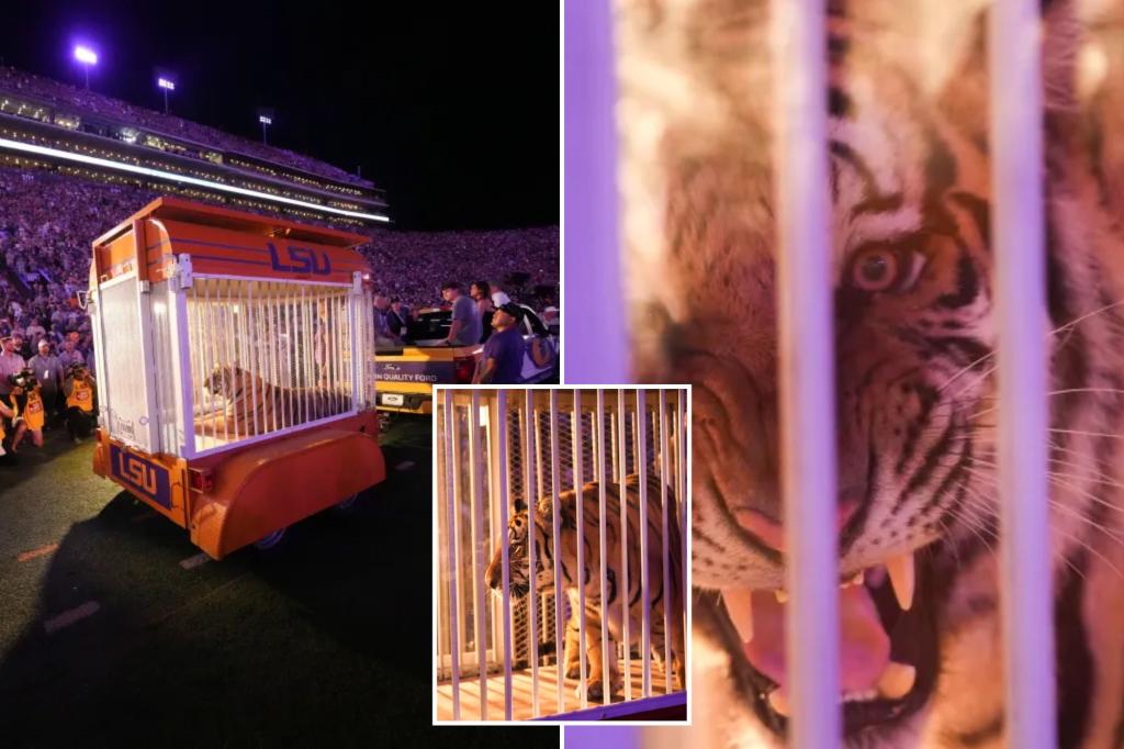 Caged tiger wheeled into LSU’s Tiger Stadium for the first time since 2015 at governor’s behest