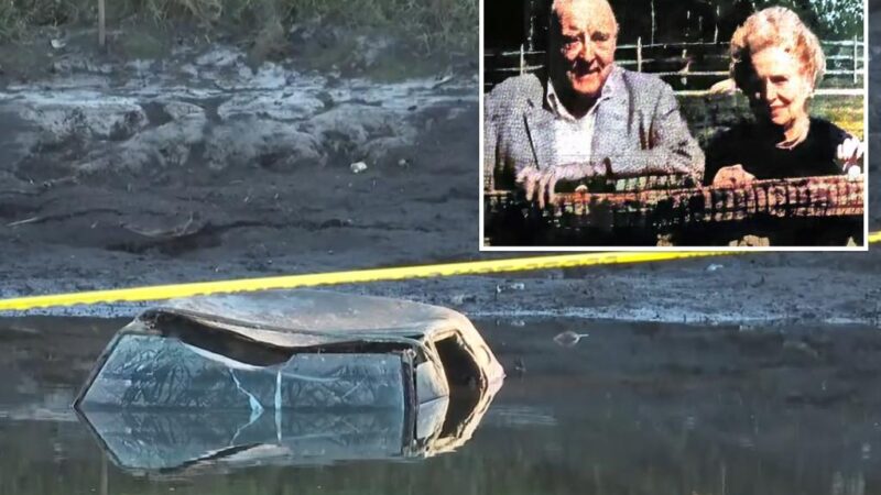 Car found in Georgia pond could be linked to 44-year disappearance of wealthy Scarsdale, NY couple