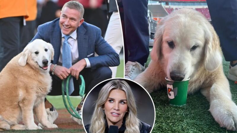 Charissa Thompson honors Kirk Herbstreit’s golden retriever Ben