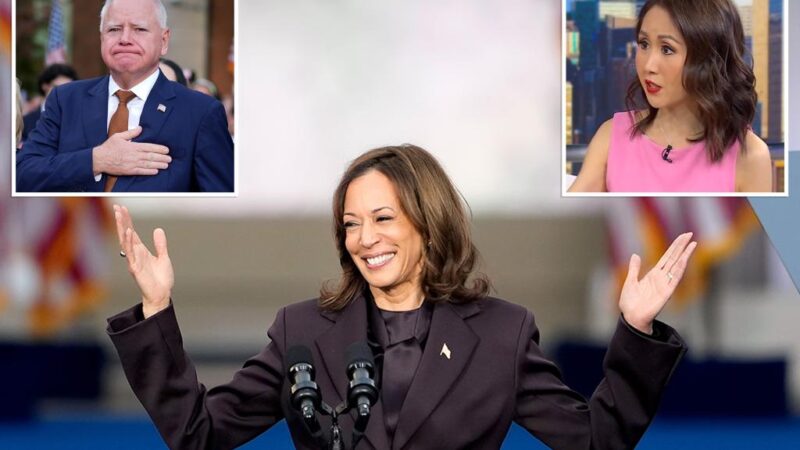 DNC official Lindy Li blasts Harris campaign as a ‘$1 billion disaster’