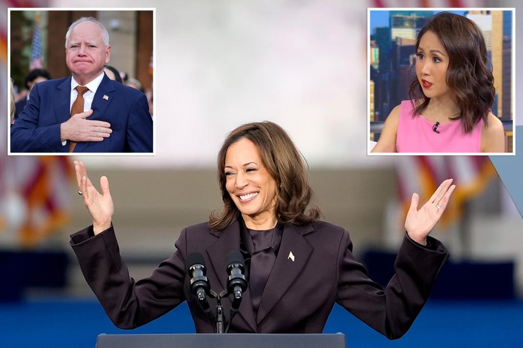 DNC official Lindy Li blasts Harris campaign as a ‘$1 billion disaster’