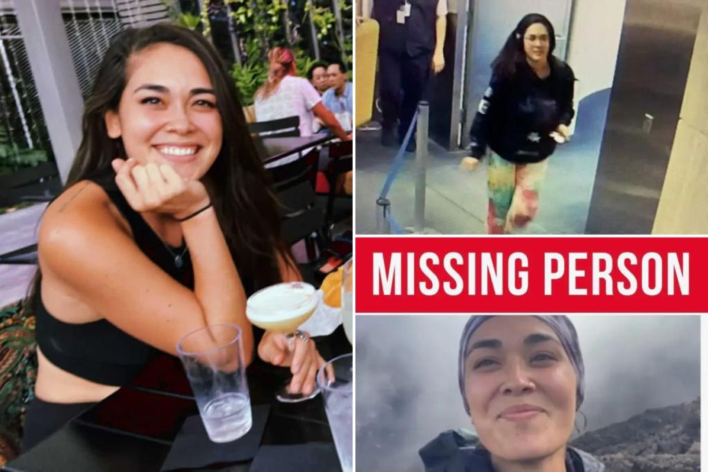 Family of missing woman Hannah Kobayashi growing desperate for answers