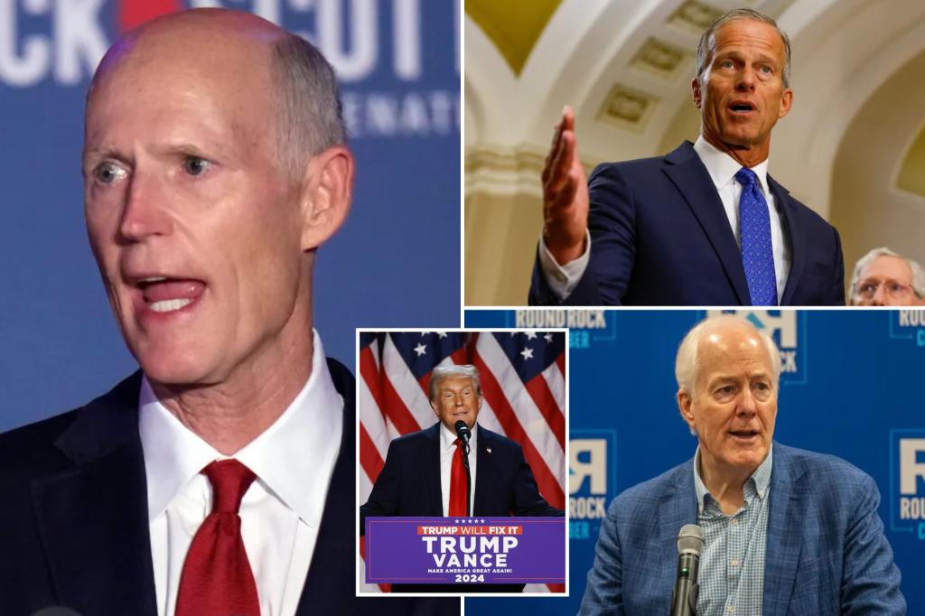 GOP Fla. Sen. Rick Scott calls for upending status quo in Senate to ‘get Trump’s agenda done’