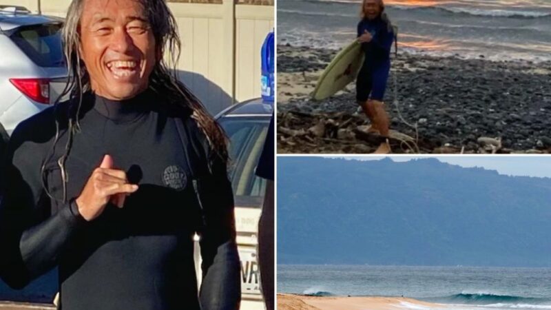 Hawaii surfer severs leg from shark attack in Maui