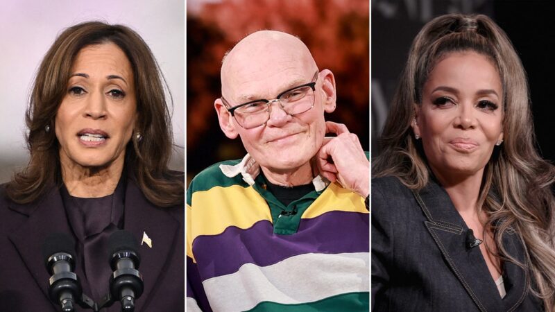 James Carville says Kamala Harris’ failed campaign could be reduced to Sunny Hostin’s question on ‘The View’