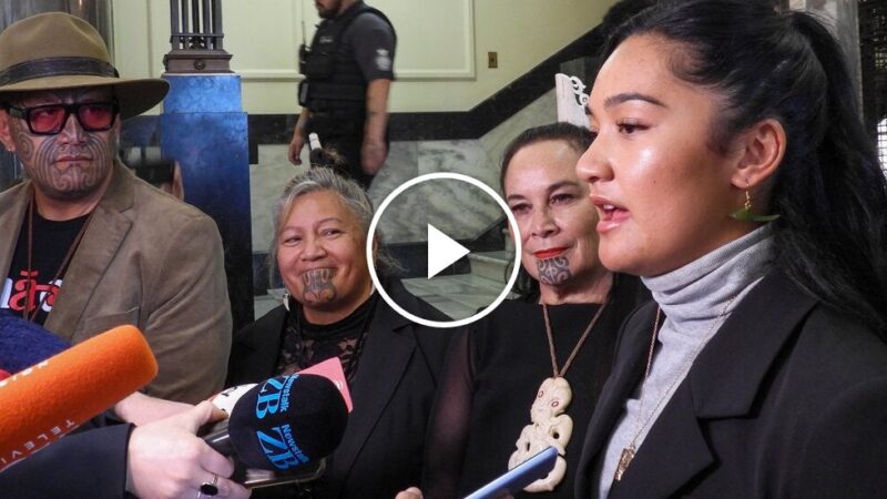 Māori Haka Protest Erupts in New Zealand Parliament