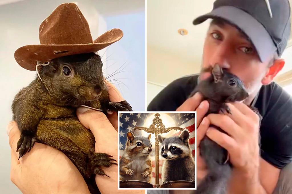 P’Nut the Squirrel’s owner starts crypto coin after feud with online investors